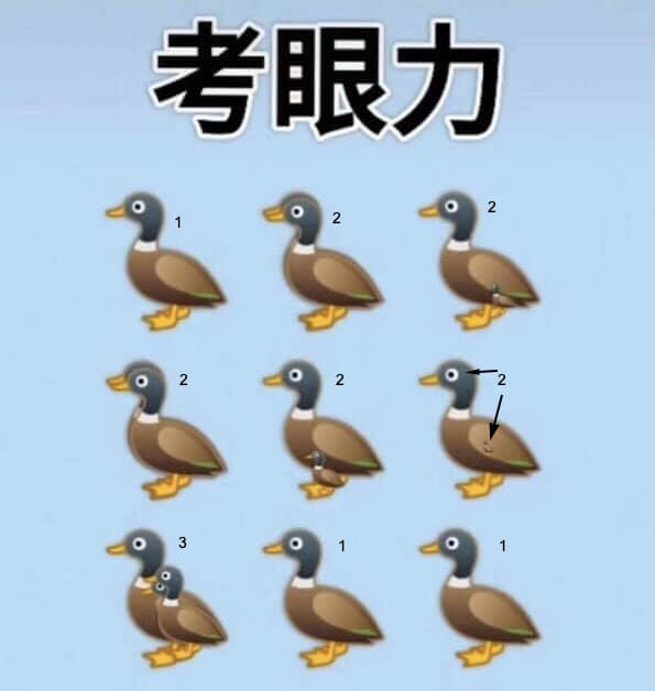 How Many Ducks In Picture Answer
